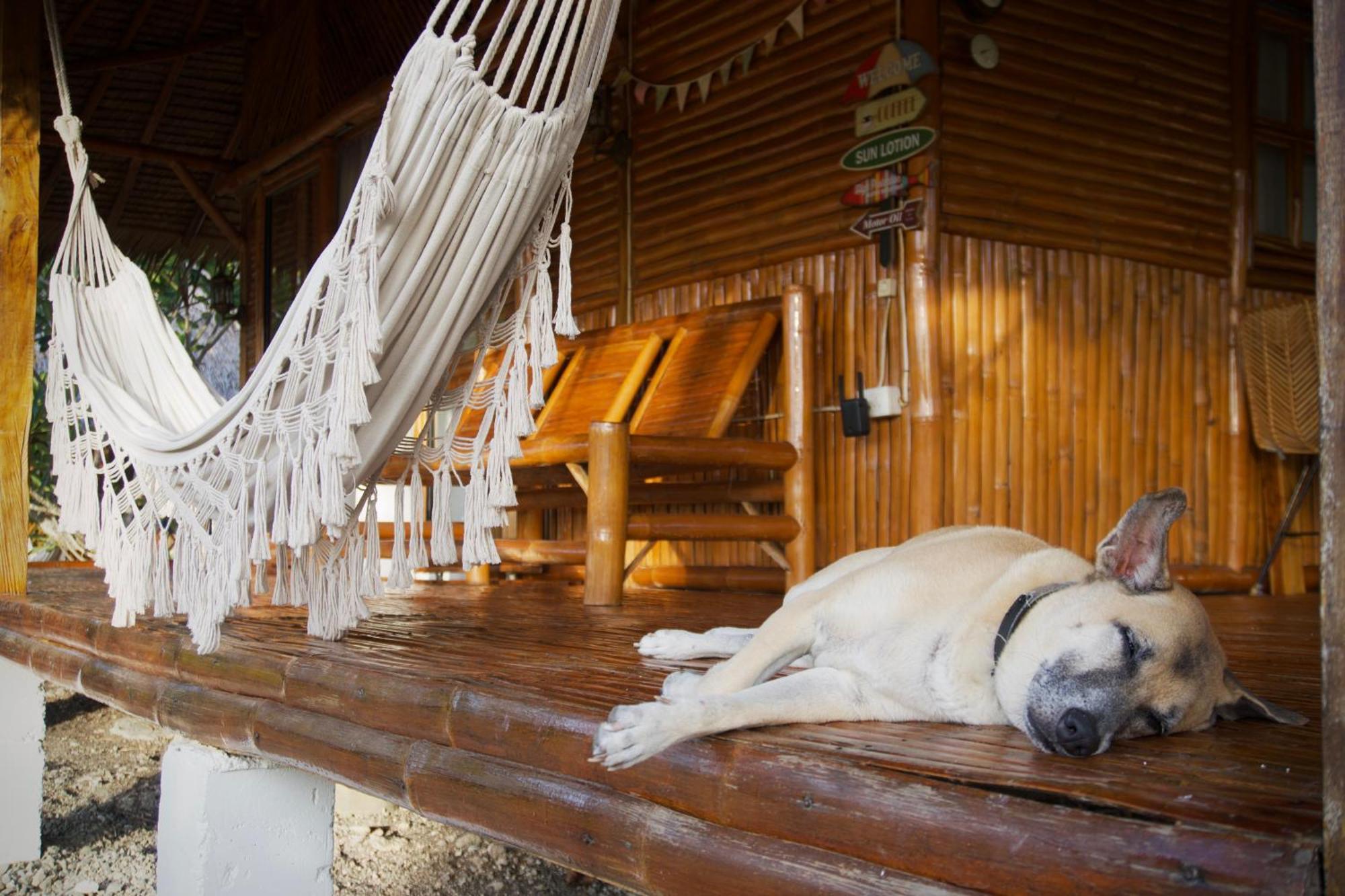 Tongo Hill Lodge